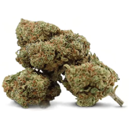 Strawberry Banana Small Bud Flower 20% CBD