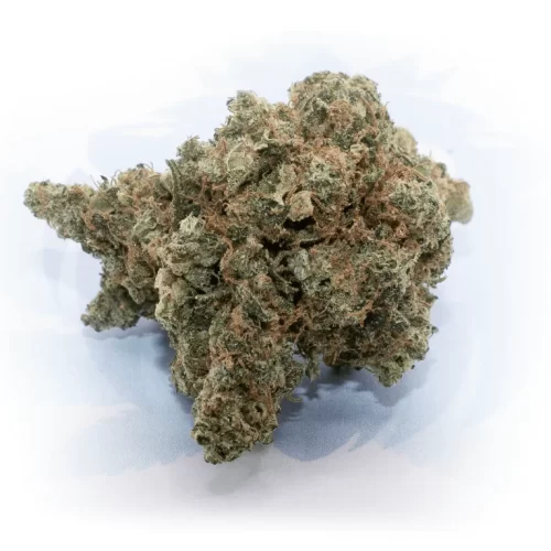 Orange Sherbet Hemp Flower 24% CBD