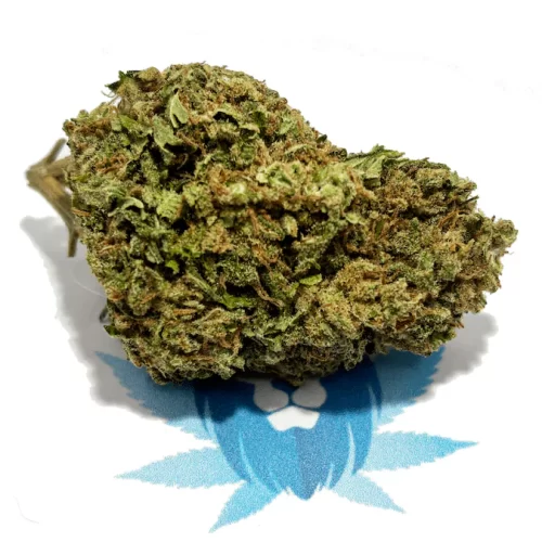 Nutella (Blackout) Hemp Flower 26% CBD