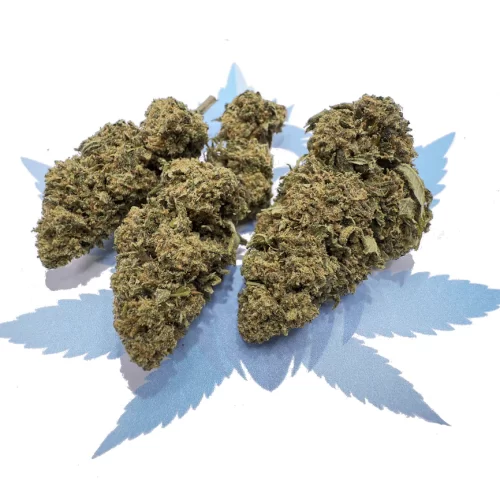 Lemon Cherry Gelato 19% CBD Hemp Flower