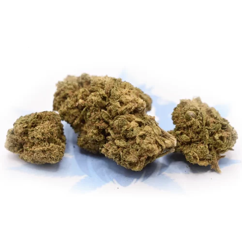 Tropical Punch 16% CBD Hemp Flower