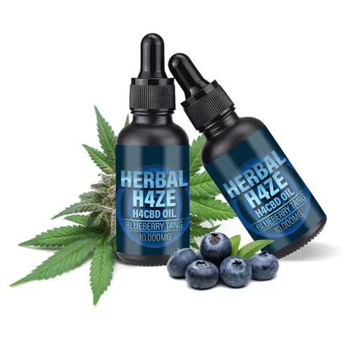 Herbal H4ZE H4CBD Oil Blueberry Tang